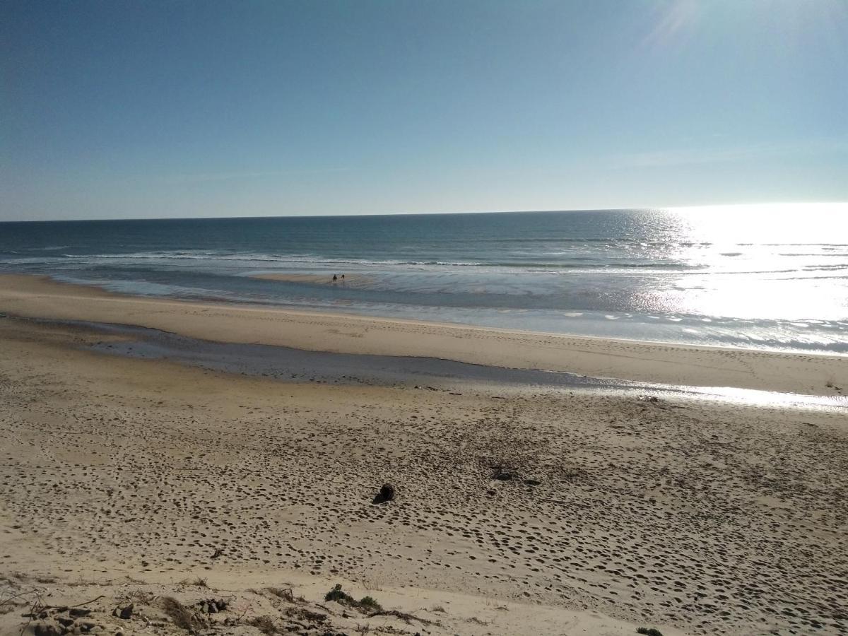 فندق Zenzela Surf House Naujac-sur-Mer المظهر الخارجي الصورة